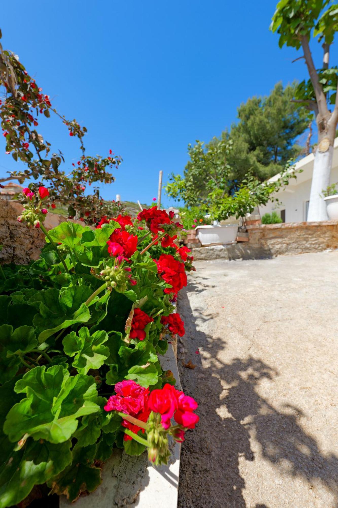 Flower Vila Sarandë Esterno foto