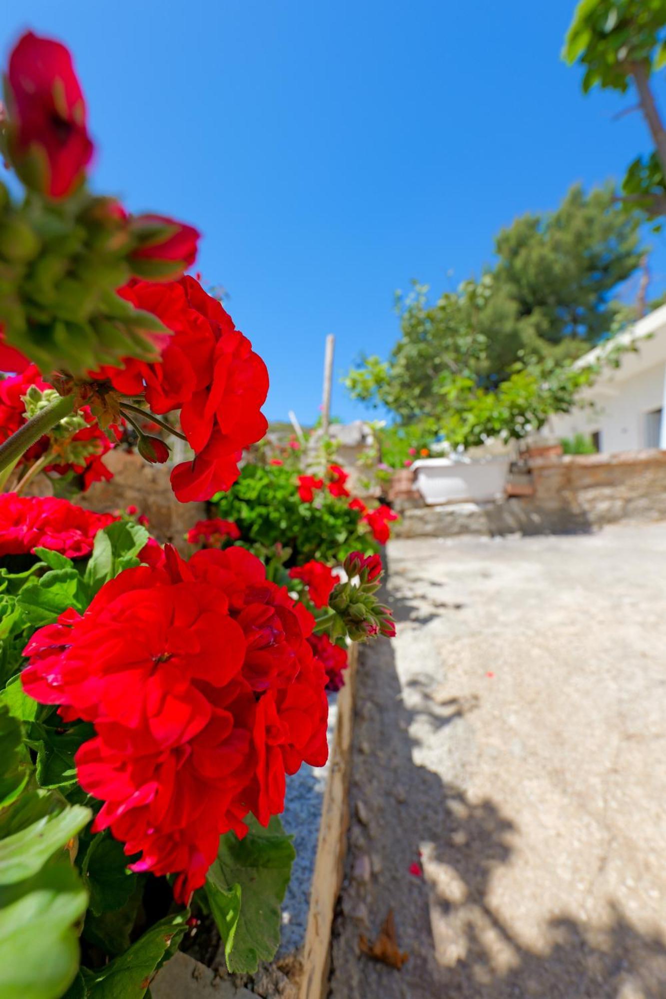 Flower Vila Sarandë Esterno foto