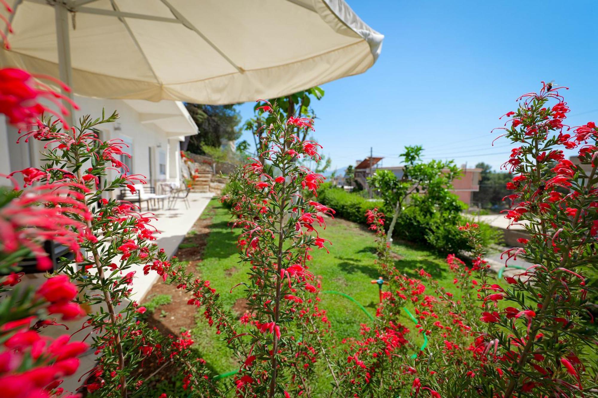 Flower Vila Sarandë Esterno foto