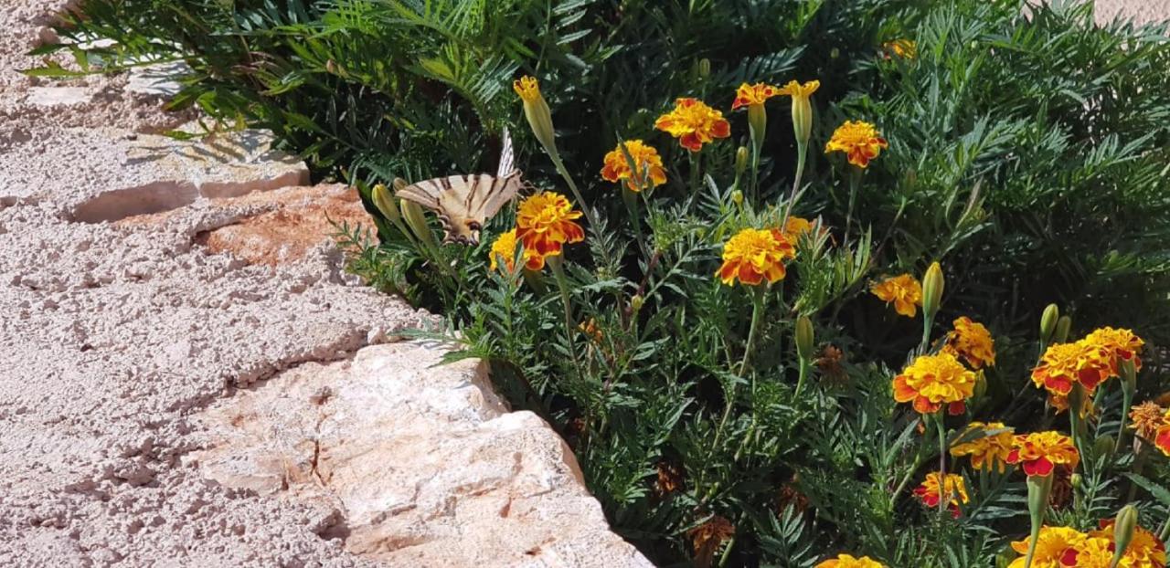 Flower Vila Sarandë Esterno foto